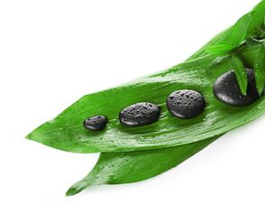 Hot Stone Massage Dresden:: © Africa Studio- Fotolia.com