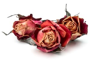 © Natika / Fotolia