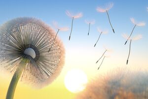 © psdesign1 / Fotolia
