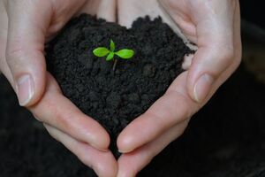 © SergeyCash / Fotolia